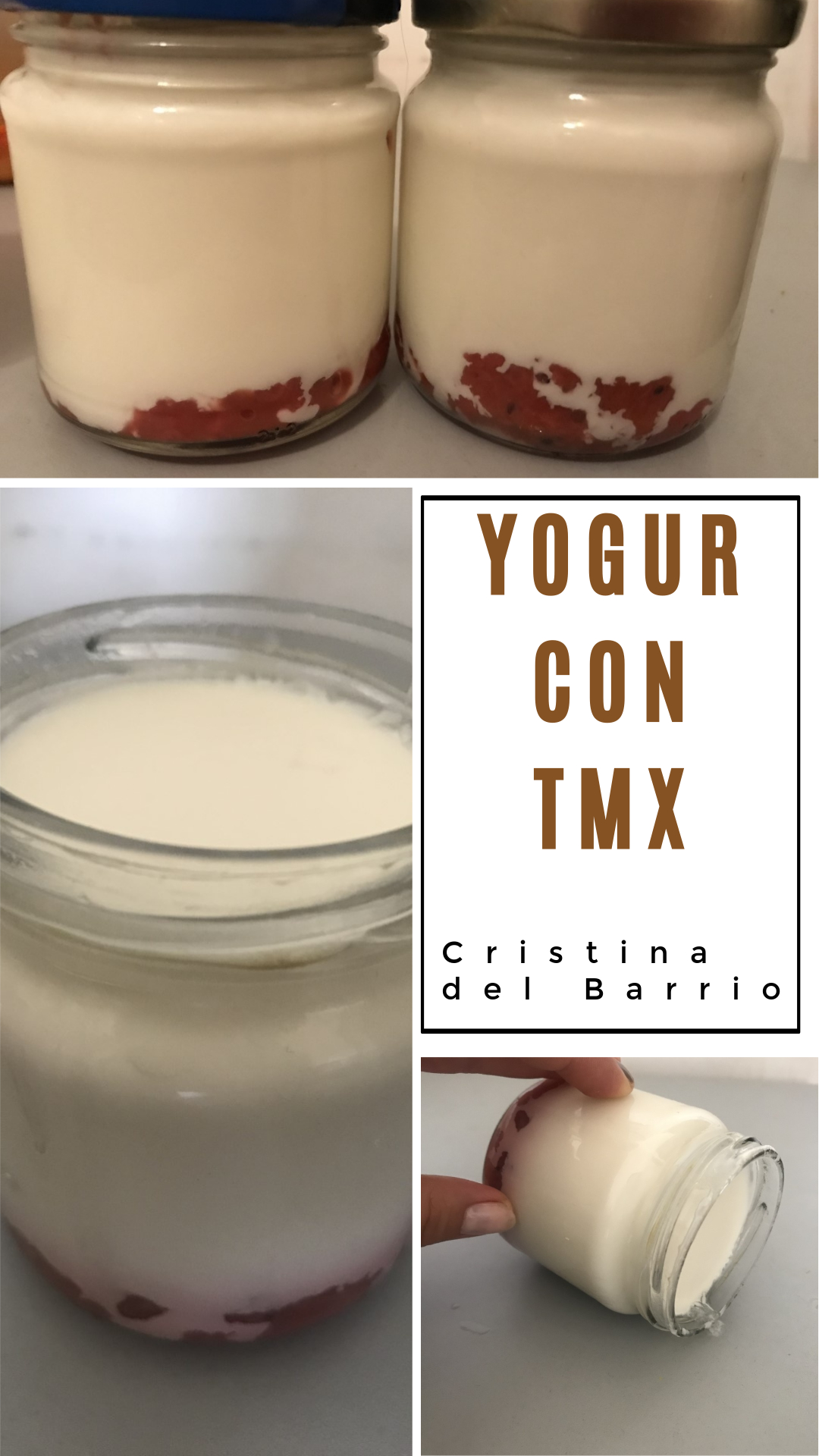 hacer yogur linear unit thermomix 31