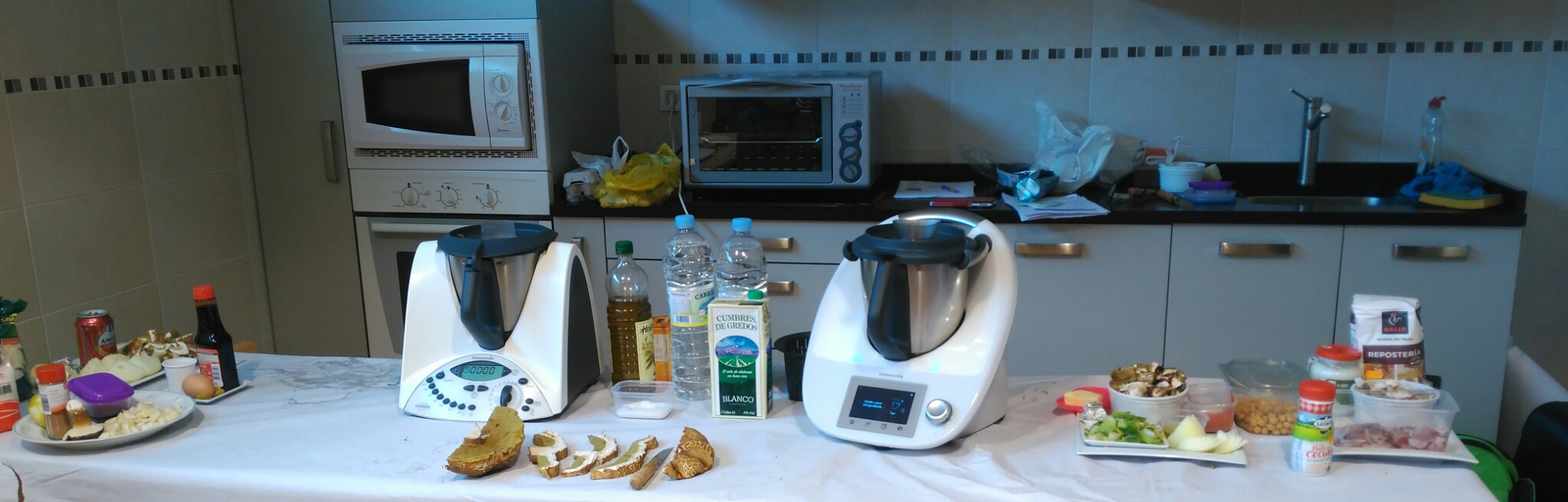 TALLER MICOLÓGICO